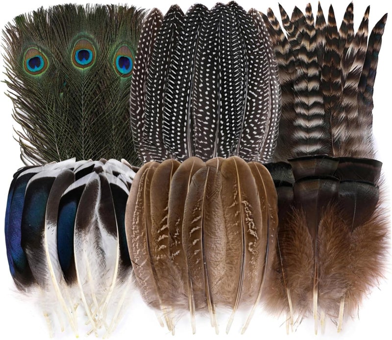 Holmgren 24pcs Natural Feathers Bulk - 6 Styles Assorted Peacock, Pheasant, Turkey Feathers for Craft DIY Jewelry Hat Wedding Home Party Decoration - Image 1